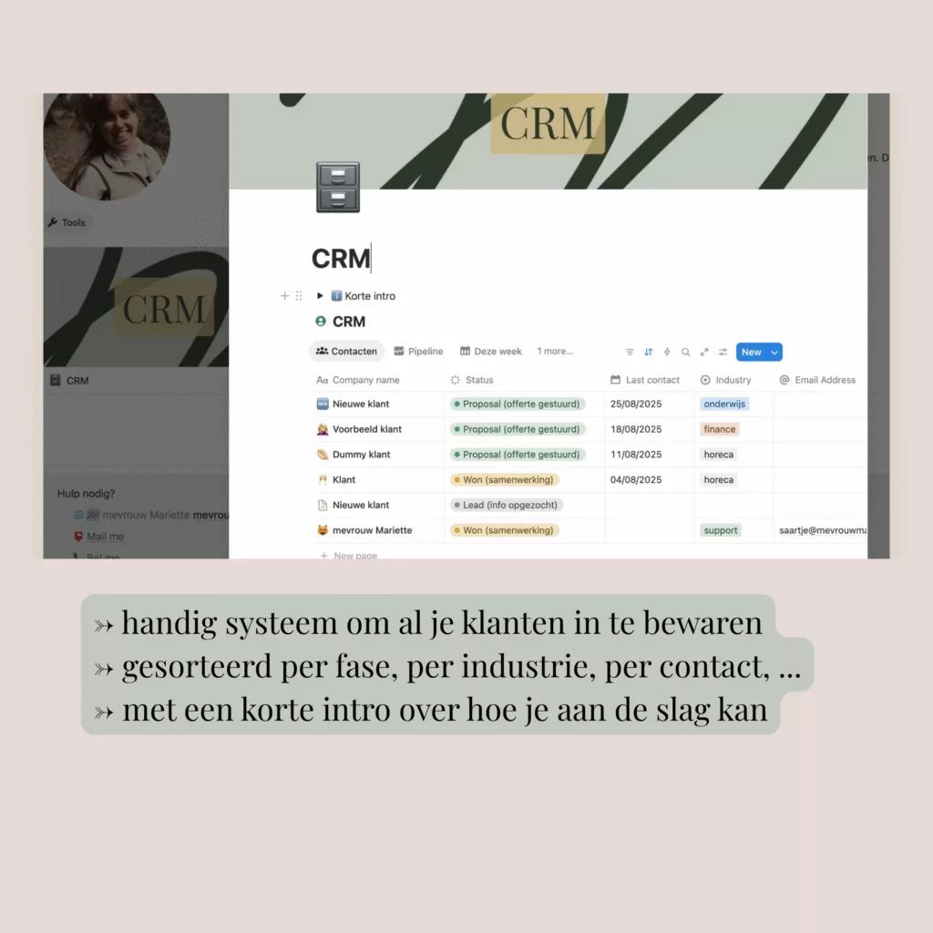 Mini dashboard detailed view CRM